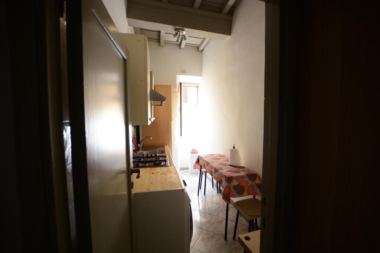Vicky Apartment フィレンツェ エクステリア 写真